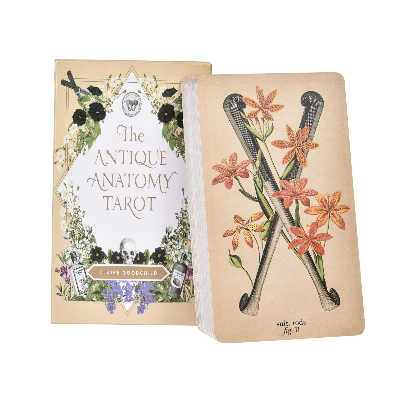 Tarot Deck With Guidebook - Karty Tarota „Antyczna Anatomia” – wersja