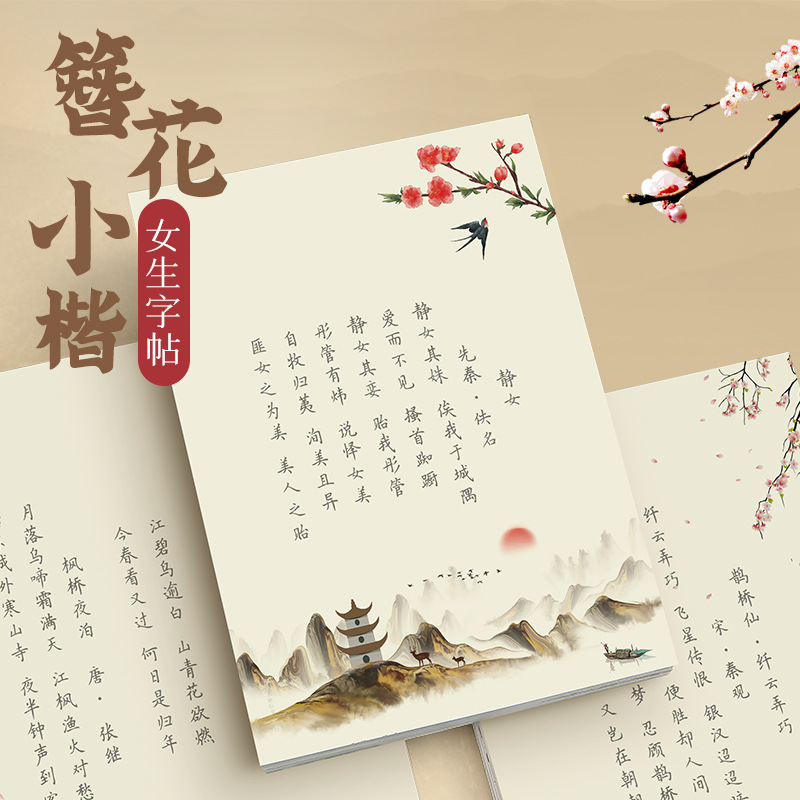 Kwiatowa spinka do włosów, mał – Chinese Calligraphy Practice Book recenzja i cena